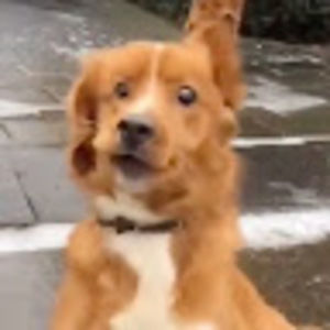 Meet your Posher, Evan